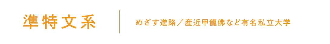準特文系